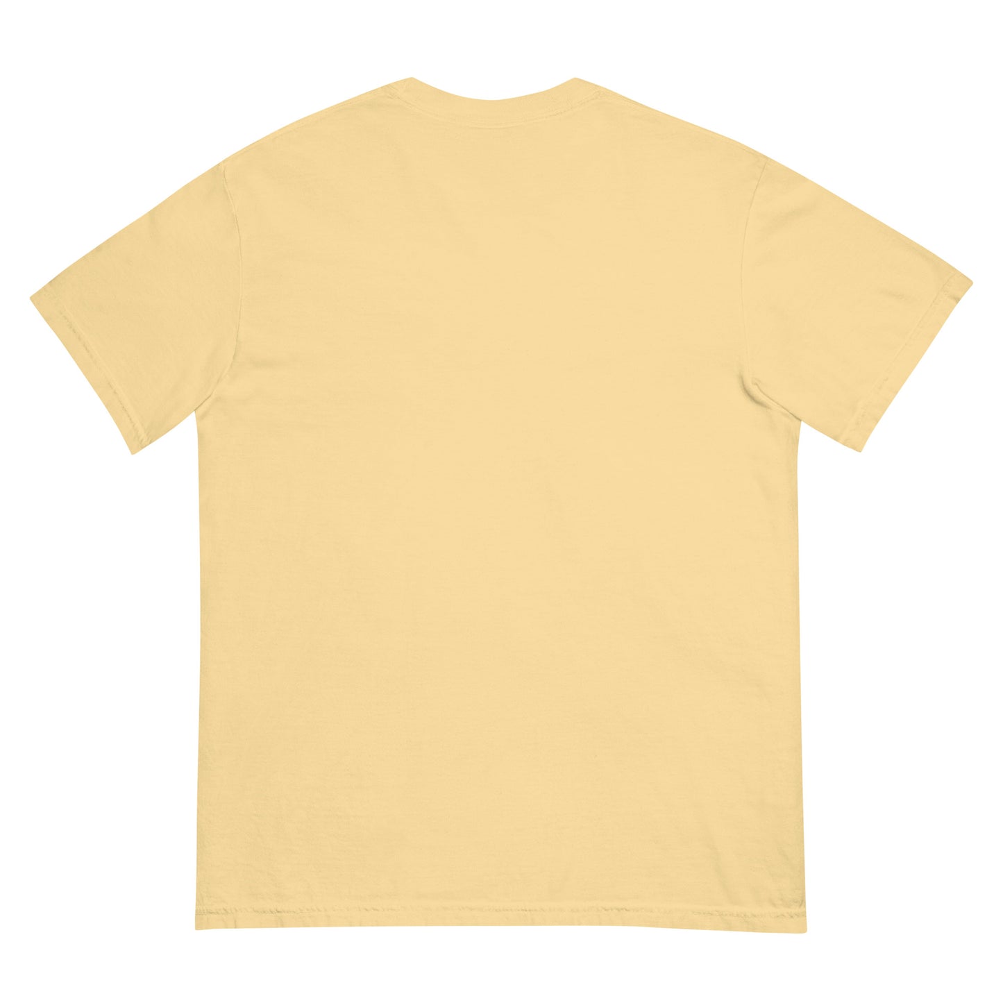 Unisex garment-dyed heavyweight t-shirt